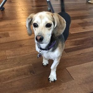 Meet your Posher, Sandy